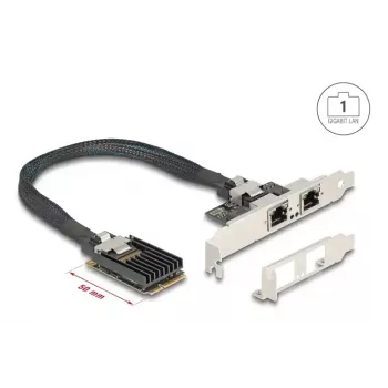 DeLOCK 95280 sisemine RJ-45 adapter Mini PCI Express 4 Gbit/s