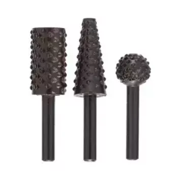 Bosch 2609255302 Raspel