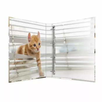 Ring binder HERMA 19359 A4 Multicolour