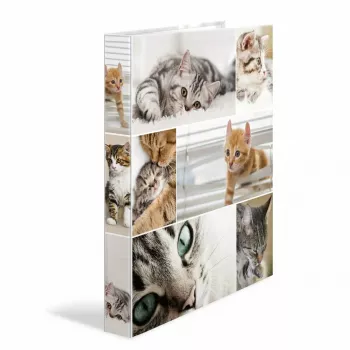 Ring binder HERMA 19359 A4 Multicolour