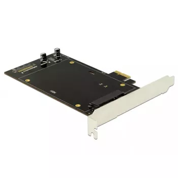 Sisemine SATA-adapter DeLOCK 90349