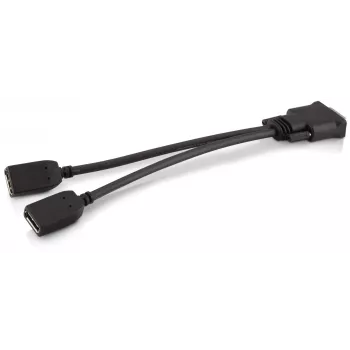 HP DMS-59 to Dual DisplayPort Kit, DMS, 2 x DisplayPort, Isane, Emane, Must, Isane/Emane