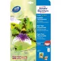 Tindiprinteripaber Avery Premium A4 250g Valge Satiinmatt