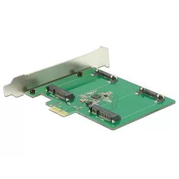 Sisemine mSATA adapter DeLOCK 89479