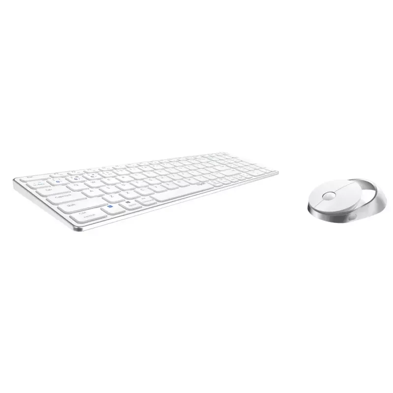 Rapoo 9750M klaviatuur ja hiir, juhtmevaba, Bluetooth, QWERTZ, saksa, valge