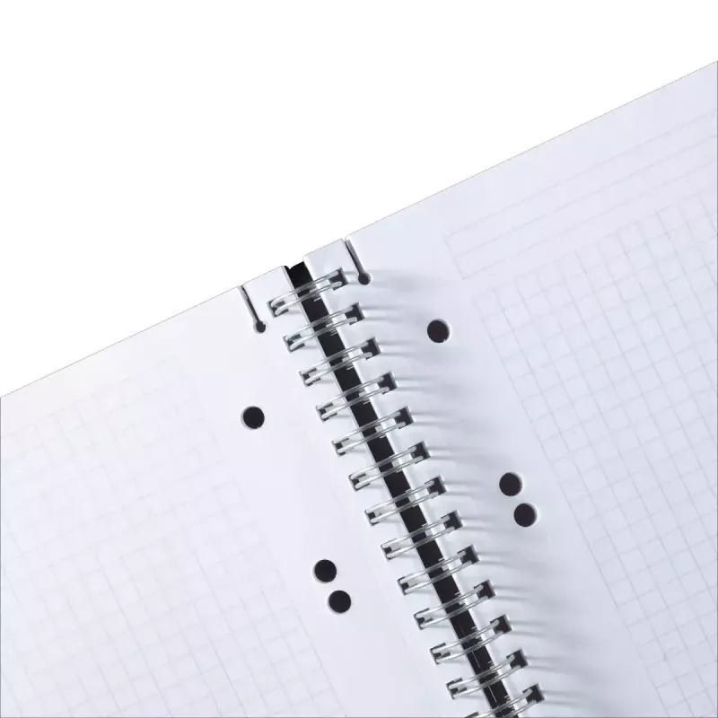 Märkmik Herlitz 11293768 A5 80 lehte Mitmevärviline