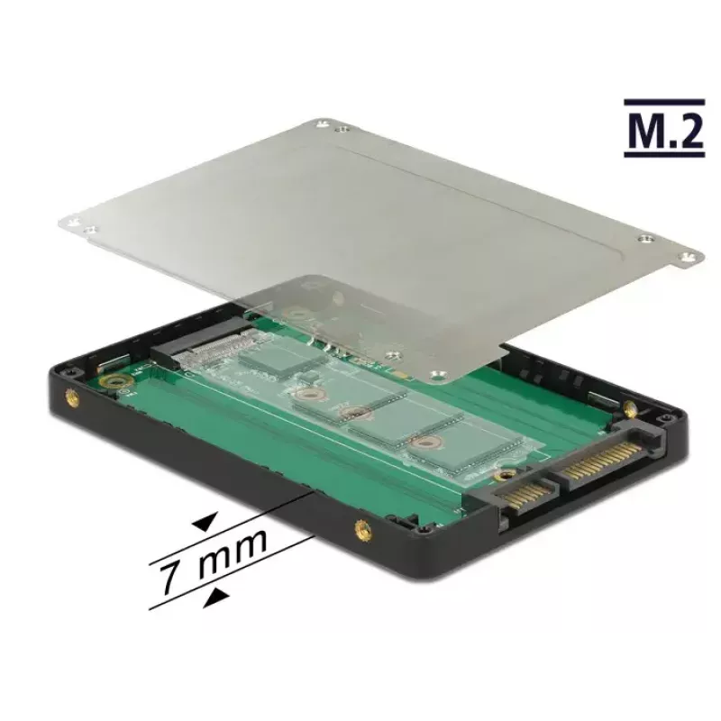 Sisemine M.2 adapter DeLOCK 62792