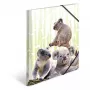 Kiirköitja HERMA Koalafamily 19958