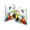 Tavaline dokumendikaust HERMA Tropical clique