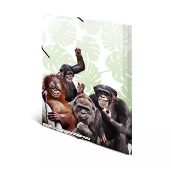 Tavaline kiirköitja HERMA Monkey gang 19960