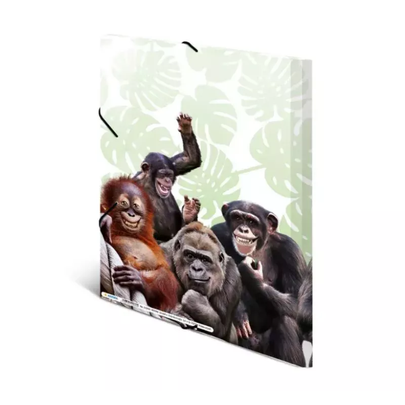 Tavaline kiirköitja HERMA Monkey gang 19960