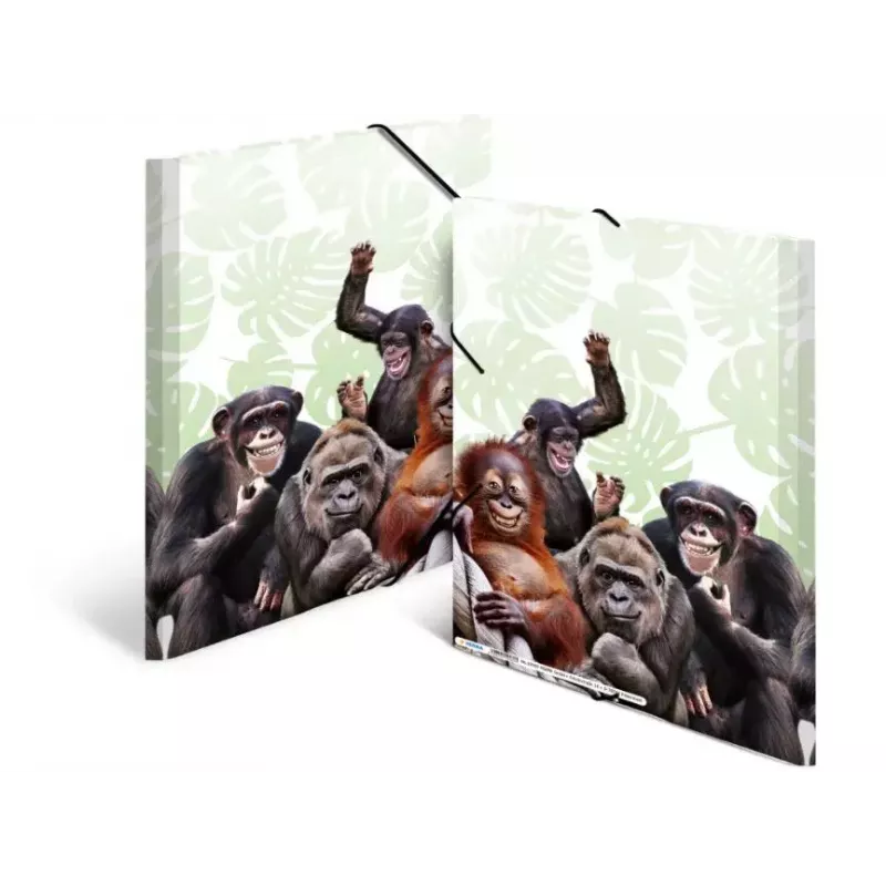 Tavaline kiirköitja HERMA Monkey gang 19960