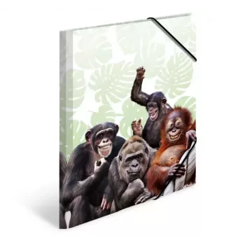 Tavaline kiirköitja HERMA Monkey gang 19960