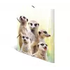 Tavaline mapp HERMA Meerkat troop 19961