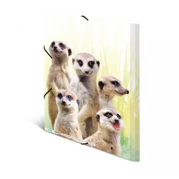 Tavaline mapp HERMA Meerkat troop 19961