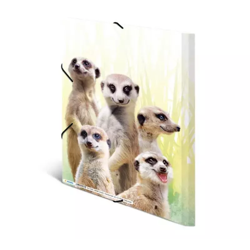 Tavaline mapp HERMA Meerkat troop 19961