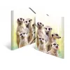 Tavaline mapp HERMA Meerkat troop 19961