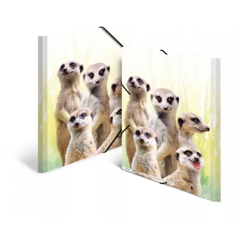Tavaline mapp HERMA Meerkat troop 19961