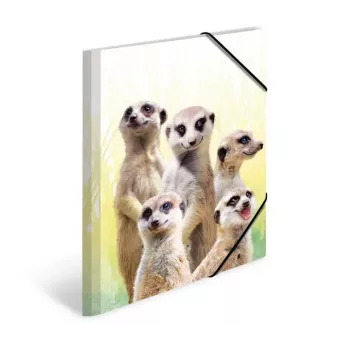 Tavaline mapp HERMA Meerkat troop 19961