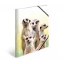 Tavaline mapp HERMA Meerkat troop 19961