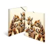 Tavaline dokumendikaust HERMA Giraffe friends polüpropüleen A3
