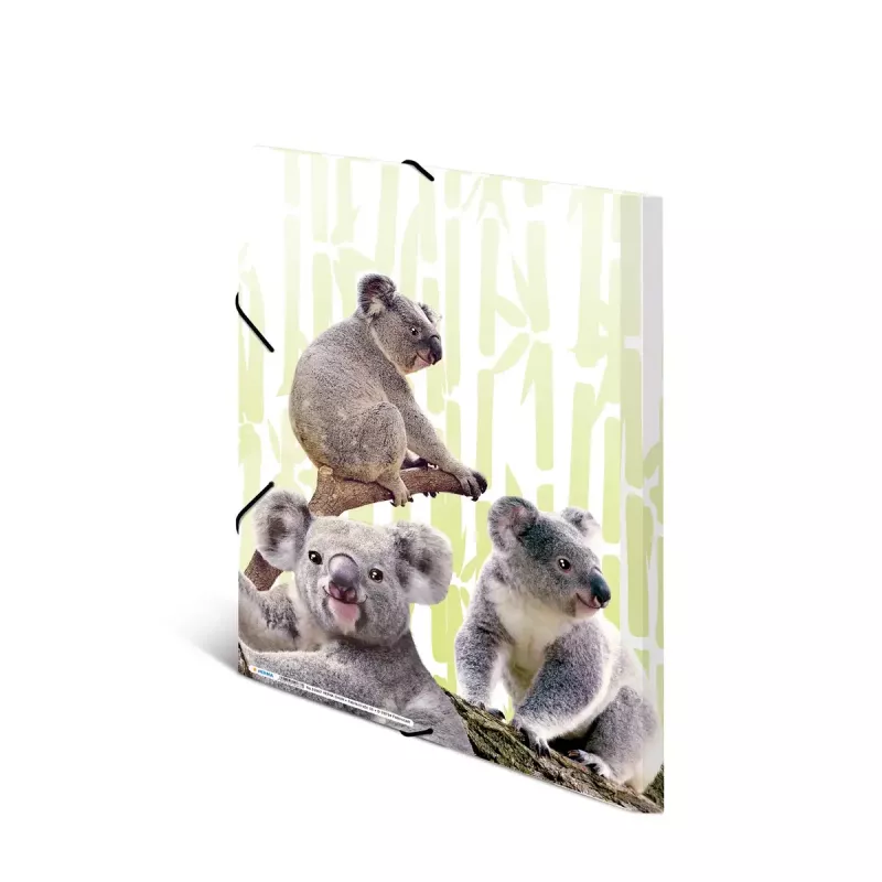 Tavaline kiirköitja HERMA Koalafamily A3