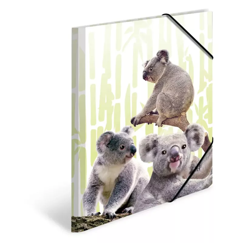 Tavaline kiirköitja HERMA Koalafamily A3