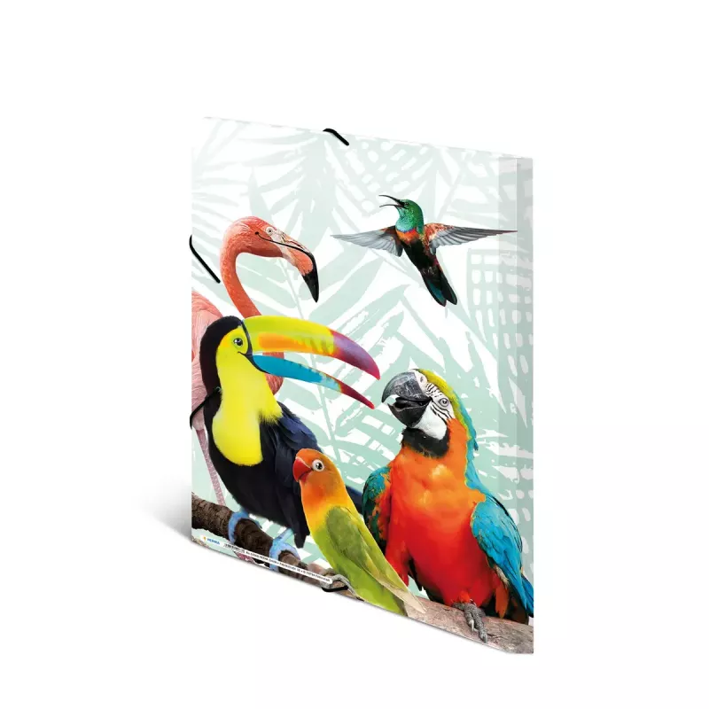 Tavaline mapp HERMA Tropical clique A3