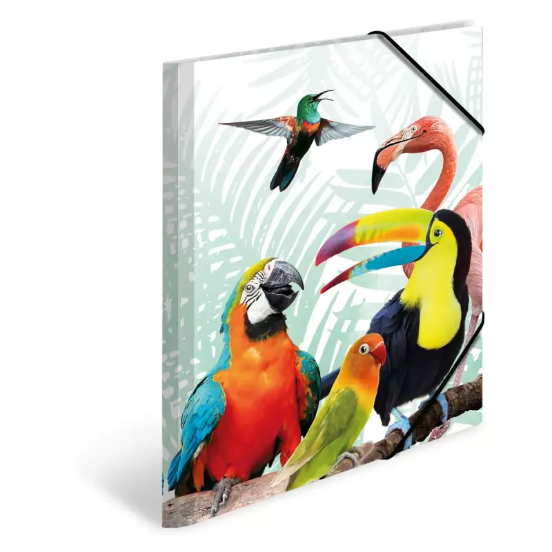 Tavaline mapp HERMA Tropical clique A3