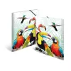 Tavaline mapp HERMA Tropical clique A3