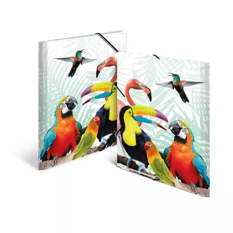 Tavaline mapp HERMA Tropical clique A3