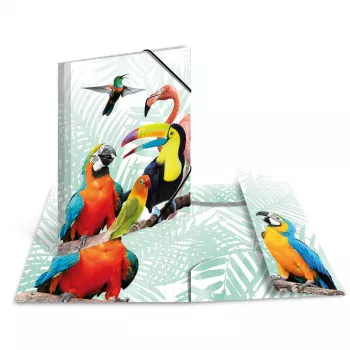 Tavaline mapp HERMA Tropical clique A3