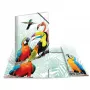 Tavaline mapp HERMA Tropical clique A3