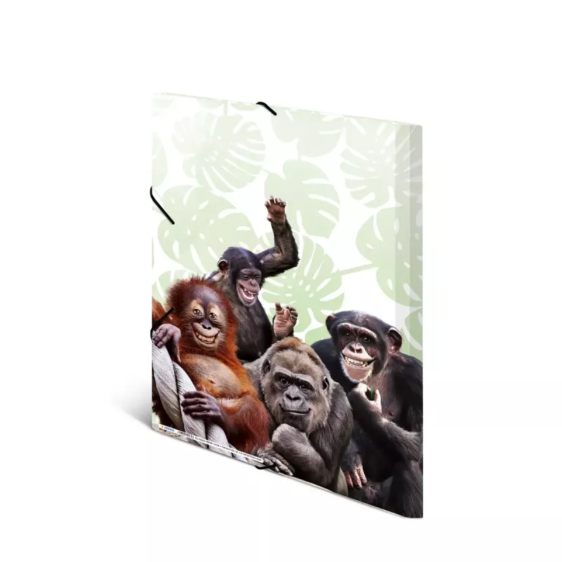 Tavaline dokumendikaust HERMA Monkey gang polüpropüleen A3