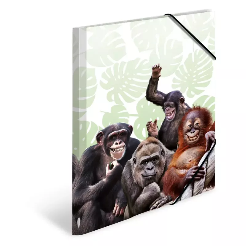 Tavaline dokumendikaust HERMA Monkey gang polüpropüleen A3