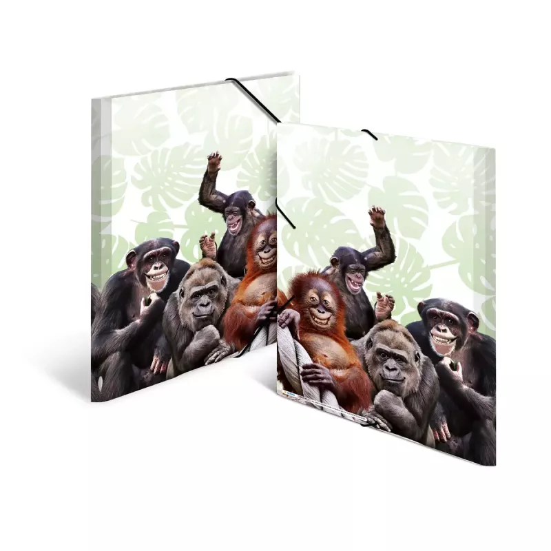 Tavaline dokumendikaust HERMA Monkey gang polüpropüleen A3