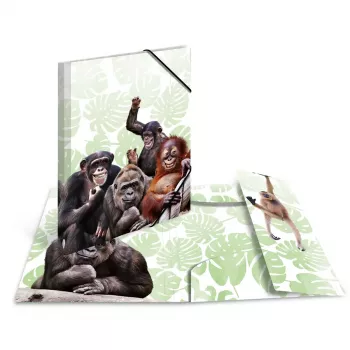 Tavaline dokumendikaust HERMA Monkey gang polüpropüleen A3