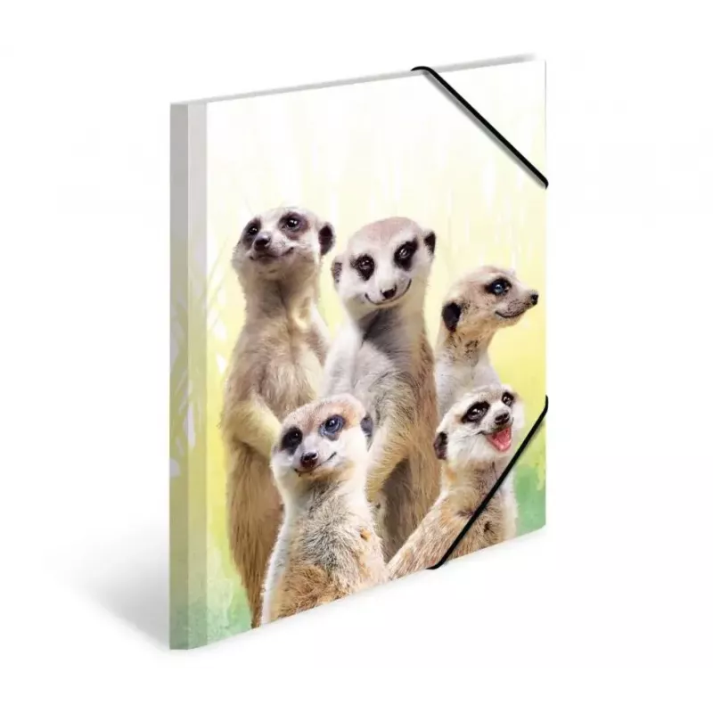 Tavaline kaust HERMA Meerkat troop