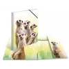 Tavaline kaust HERMA Meerkat troop