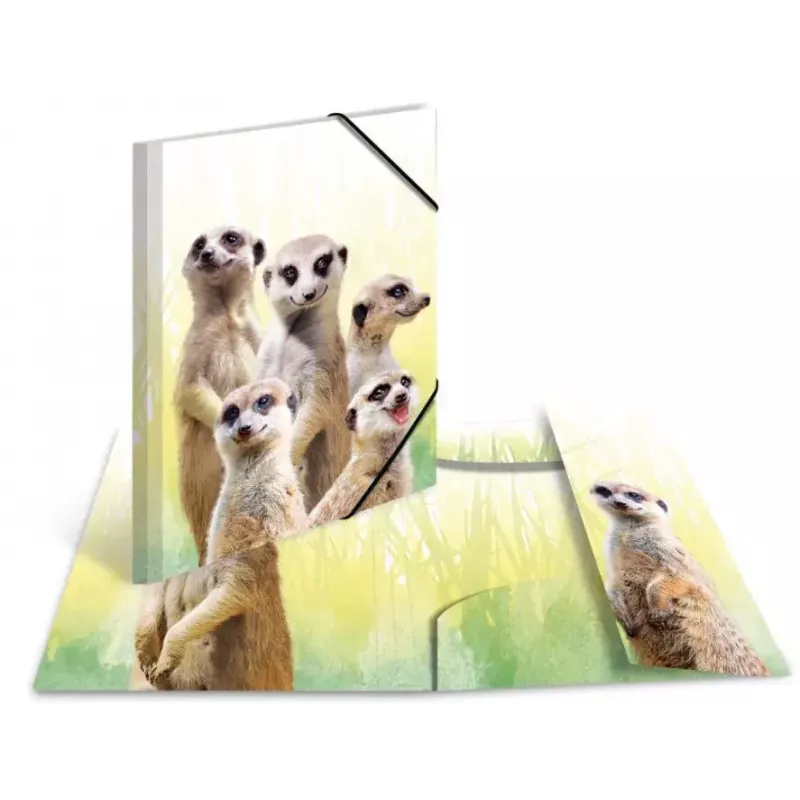 Tavaline kaust HERMA Meerkat troop