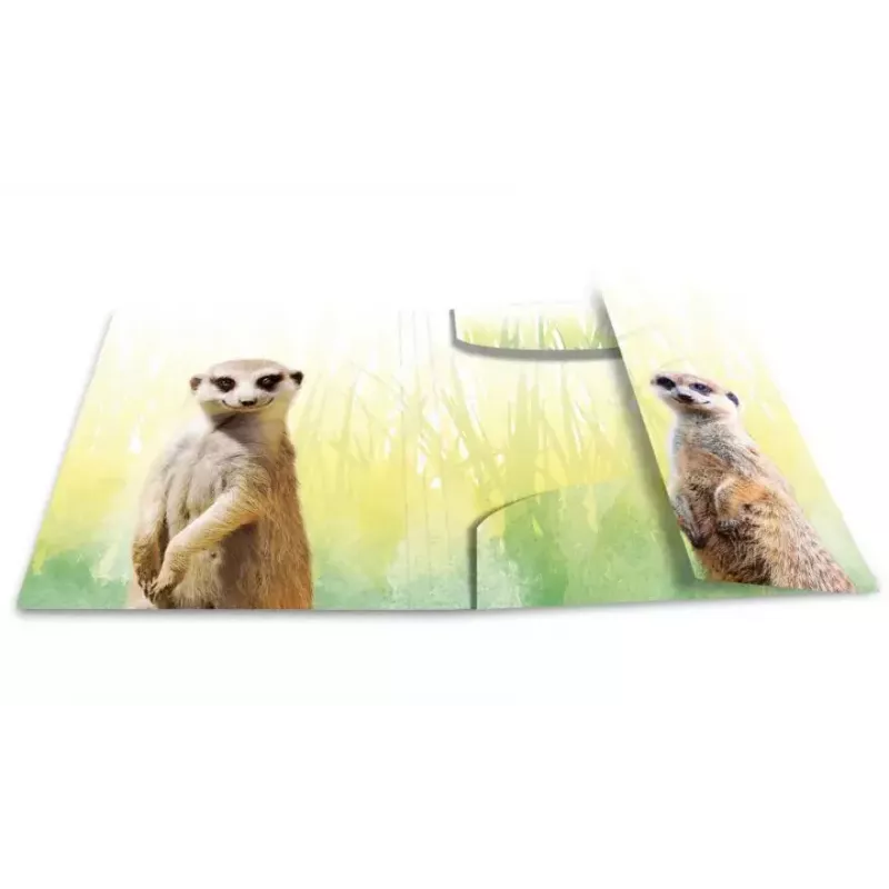 Tavaline kaust HERMA Meerkat troop