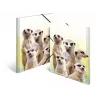 Tavaline kaust HERMA Meerkat troop