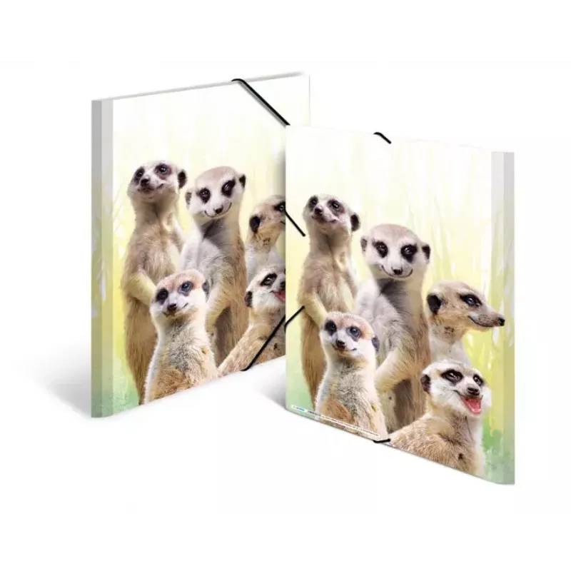 Tavaline kaust HERMA Meerkat troop