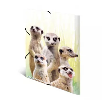 Tavaline kaust HERMA Meerkat troop