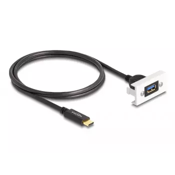 DeLOCK Easy 45 moodul SuperSpeed USB 10 Gbps USB tüüp-A-pesa kuni USB USB-C isane