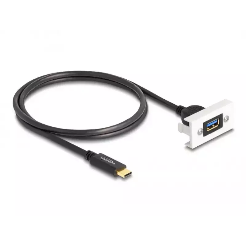 DeLOCK Easy 45 moodul SuperSpeed USB 10 Gbps USB tüüp-A-pesa kuni USB USB-C isane
