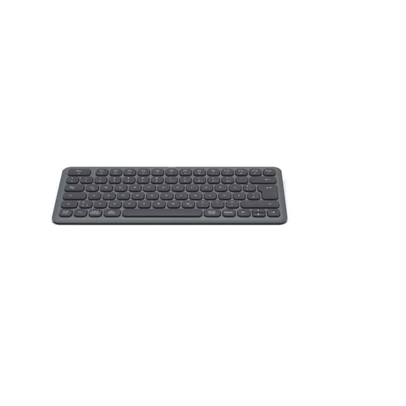 Hama WK-500 klaviatuur Kodu/Kontor RF traadita + Bluetooth QWERTZ Saksa Must, Tumehall