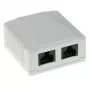 Pinnapaigaldatav karp 2-pordiline CAT6 varjestamata ACT FA6002, 29×61×29,5 mm