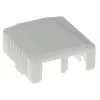 Pinnapaigaldatav karp 2-pordiline CAT6 varjestamata ACT FA6002, 29×61×29,5 mm