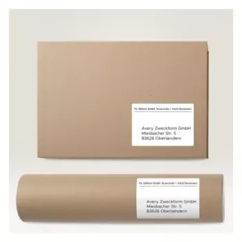 Isekleepuv printerisilt AVERY 6601 Valge 10,5x14,8 cm 260 silti